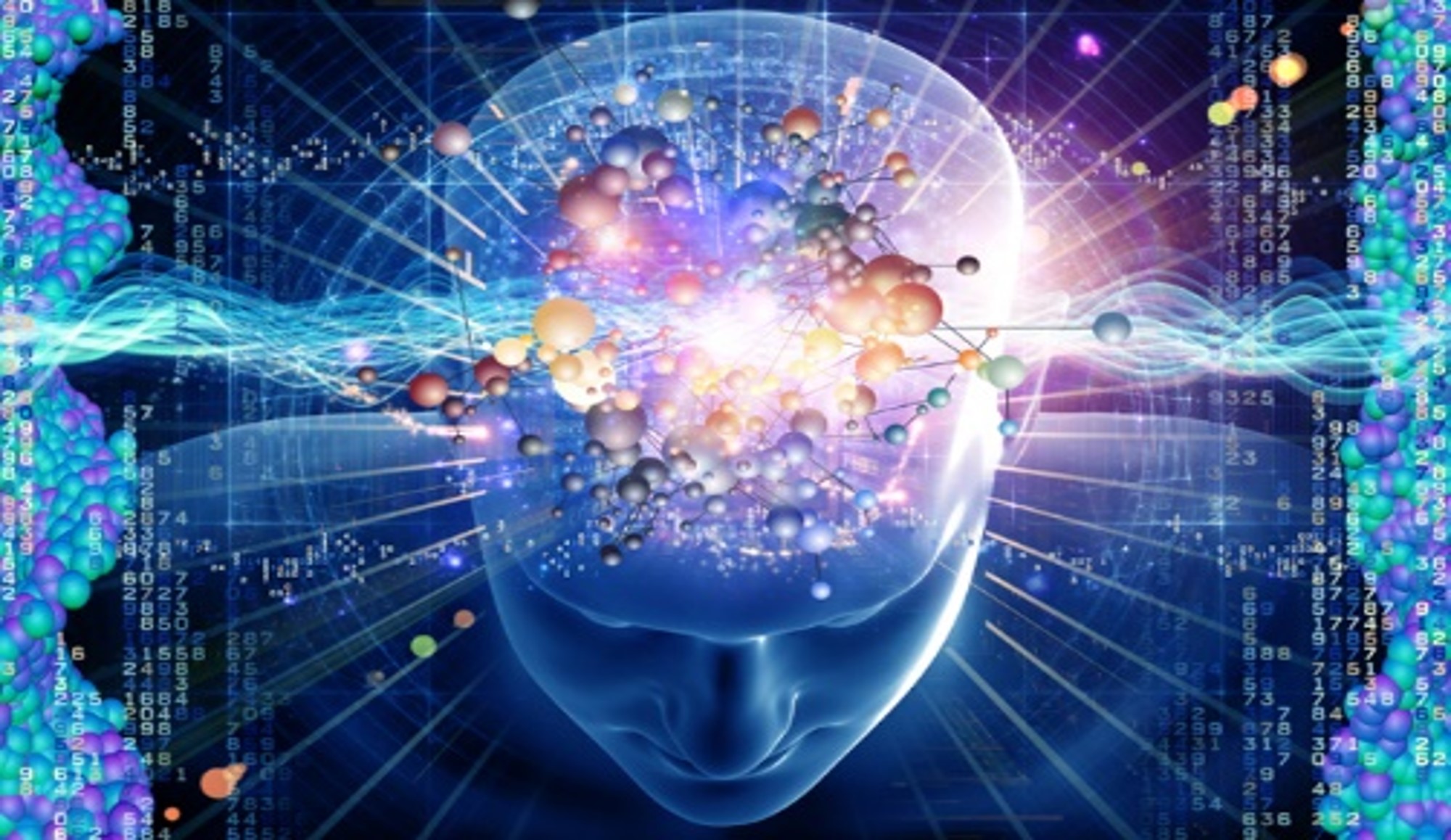 The High Performance Brain